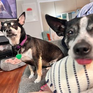 Meet your Posher, Jenneey